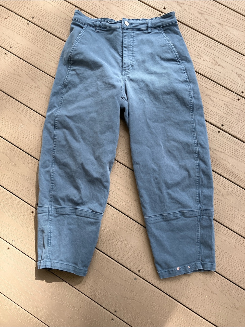 Everlane Utility Barrel Twill Pants size 10